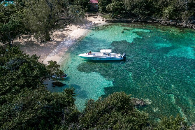 Ocho Rios Powerboat & Dunn’s River Falls Adventure - The small-group difference