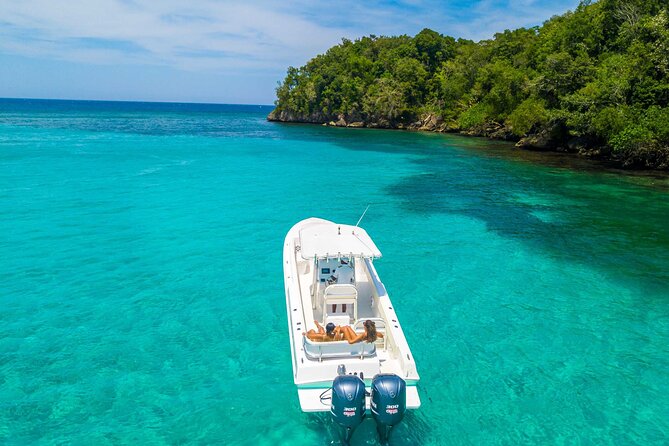 Ocho Rios Powerboat & Dunn’s River Falls Adventure - Who should book this adventure