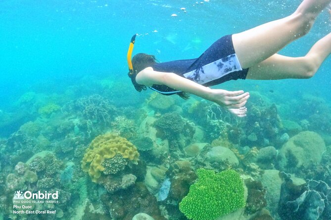 OnBird - Private family KID-FRIENDLY Snorkeling trip by speedboat in Phu Quoc - May Rut Island and the slower part of the day