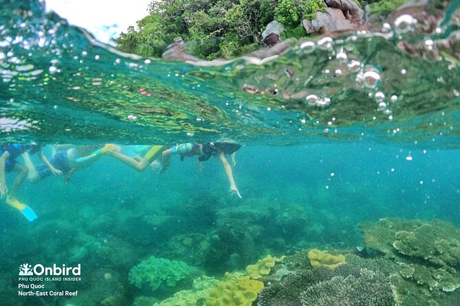 OnBird - Private family KID-FRIENDLY Snorkeling trip by speedboat in Phu Quoc - Who should book this private snorkeling day?