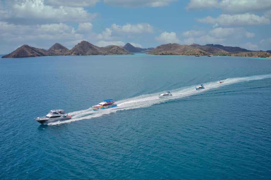 One-Day Komodo Tour By Speedboat - What to pack and how to prepare