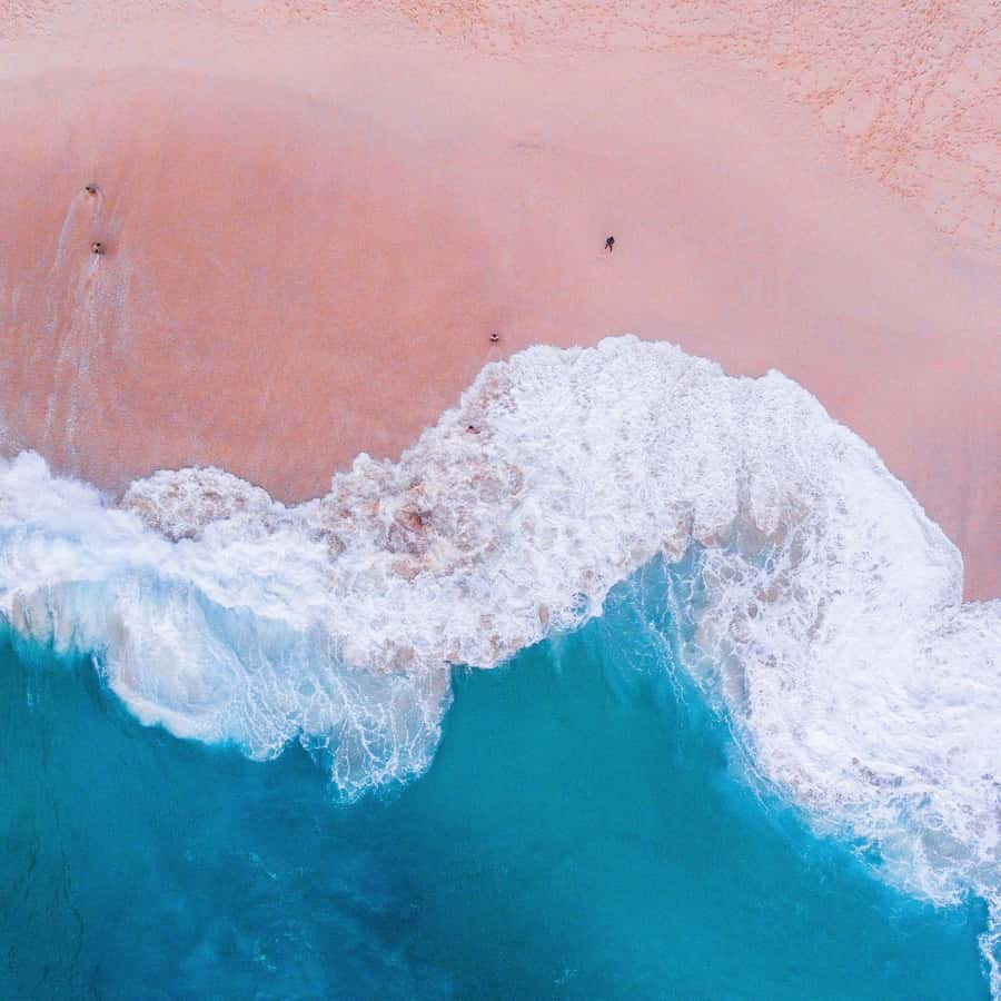 One-Day Komodo Tour By Speedboat - Pink Beach for swimming and photographs