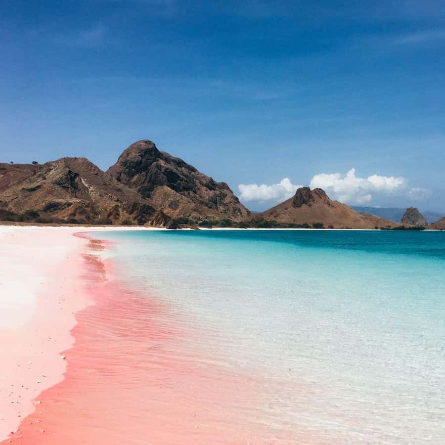 One-Day Komodo Tour By Speedboat - Kanawa Island and the ride home