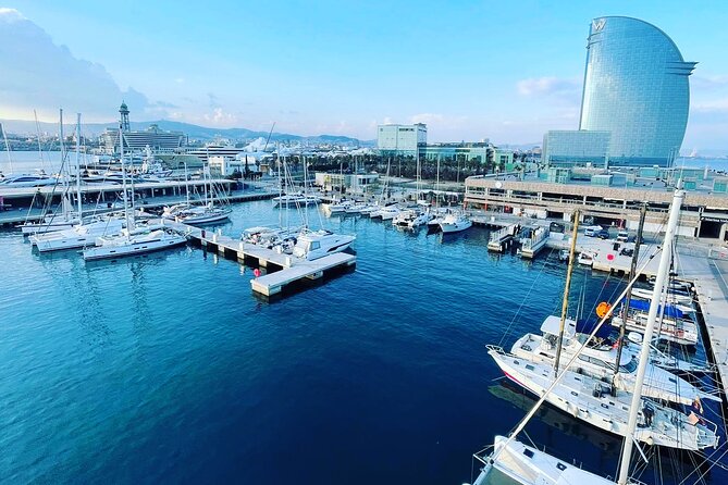 One-hour High-Speed Powerboat Ride - The offshore pause for views and conversation