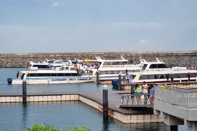 One-way Ticket Fast Boat from Sanur Bali or Nusa Penida - Booking and cancellation details that matter