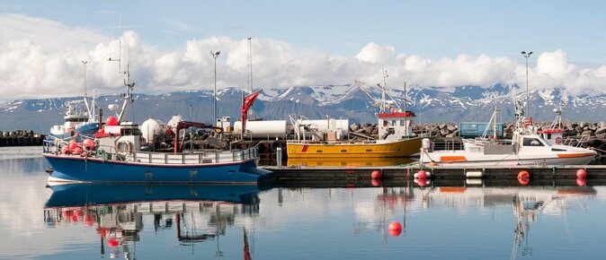 Original Big Whale Safari & Puffins Speedboat Tour from Húsavík - Key points before you book