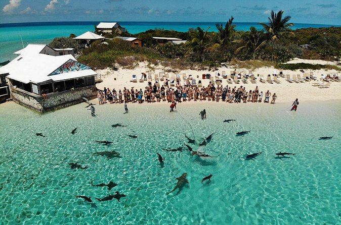 Original Exuma Powerboat Adventures - Conch salad and a surprisingly substantial lunch