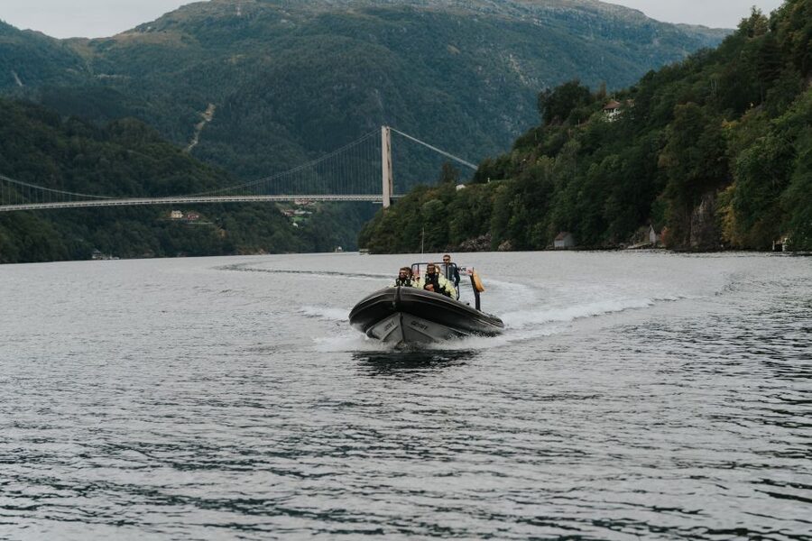 Øystese: Hardangerfjord RIB safari to the Fyksesund branch - Why Fyksesund feels different from the main Hardangerfjord