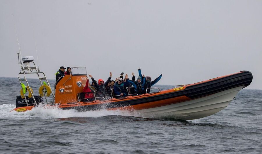 Padstow: Guided RIB Sealife Safari - Leaving Padstow on the Camel Estuary