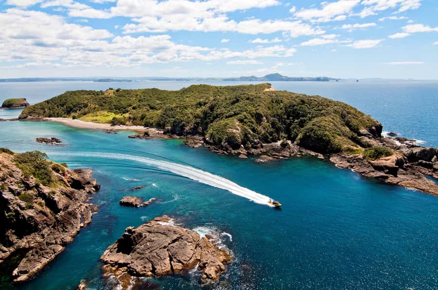 Paihia: Hole in the Rock Fast Boat Ocean Adventure - A fast way to reach the Bay of Islands icons