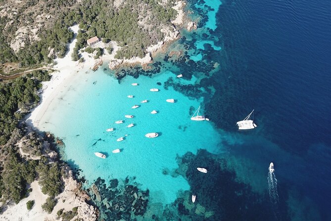 Palau or La Maddalena: 4-hour RIB tour of the archipelago - Silver and Gold boats: which one fits you?