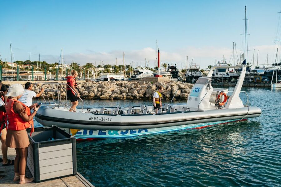 Palma Bay: 1-Hour Speedboat Adventure - The final high-speed run across Palma Bay