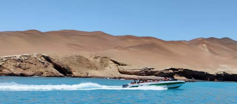 Paracas: speedboat BALLESTAS ISLANDS TOUR - Why the Ballestas Islands are worth your morning