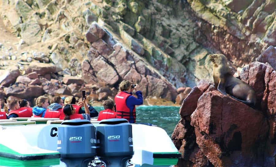 Paracas: speedboat BALLESTAS ISLANDS TOUR - The first sight, El Candelabro
