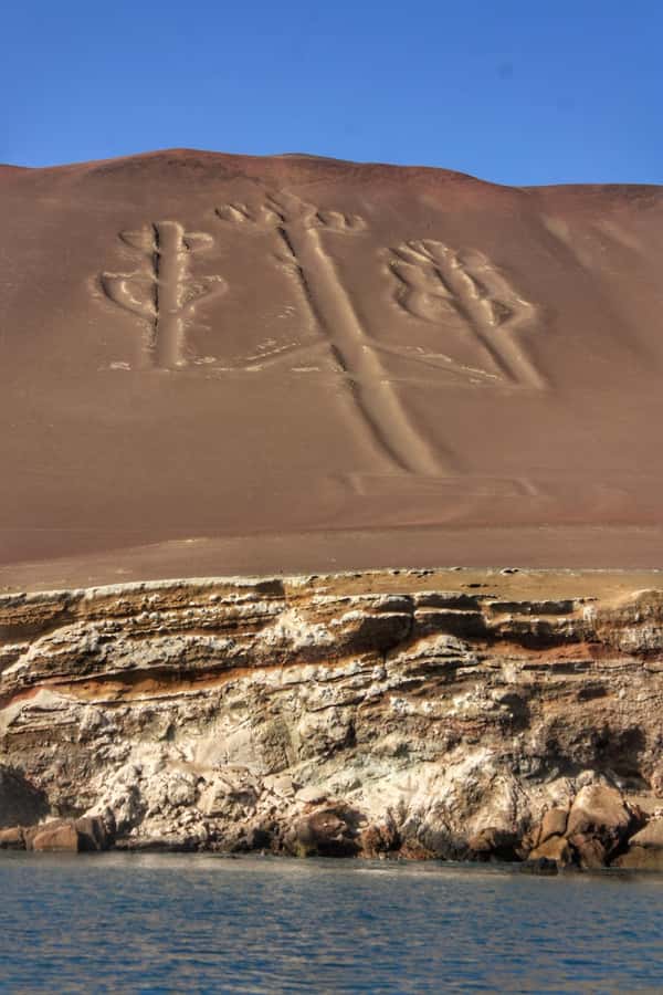 Paracas: speedboat BALLESTAS ISLANDS TOUR - Seabirds, penguins, and sea lions