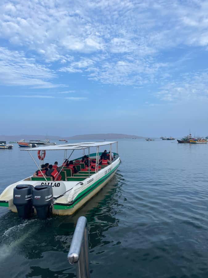 Paracas: speedboat BALLESTAS ISLANDS TOUR - Who should book this tour