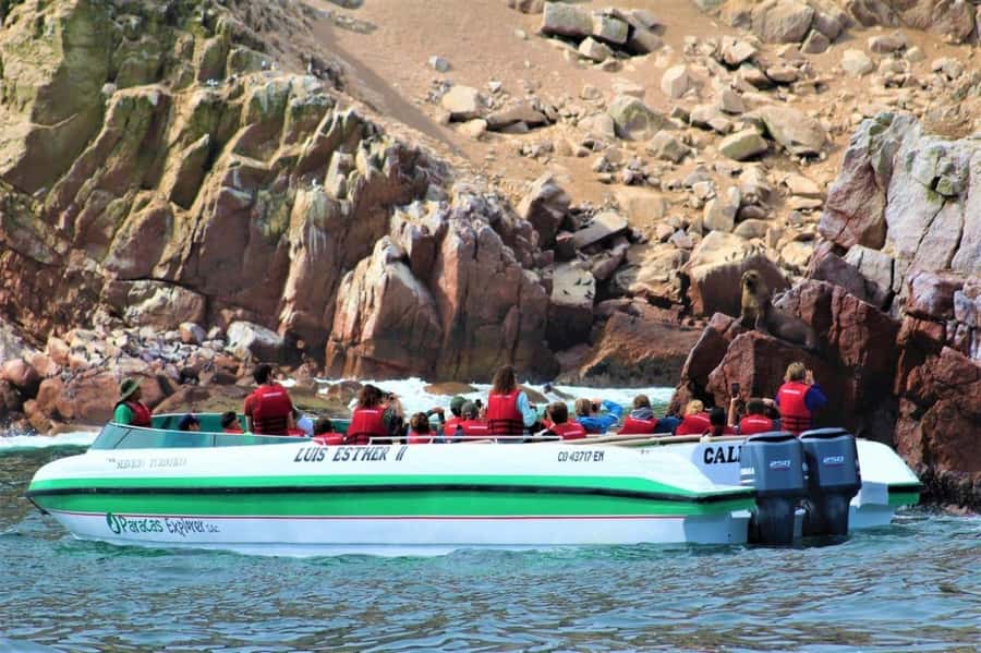 Paracas: speedboat BALLESTAS ISLANDS TOUR - Meeting at Plaza El Chaco