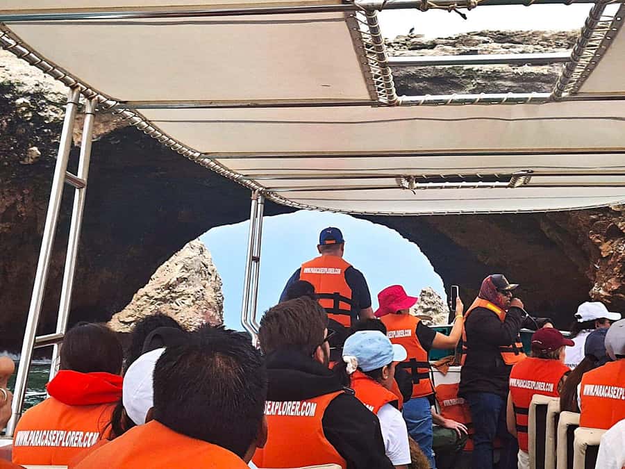 Paracas: Tours to Ballestas Islands by Speed Boat - Why the Ballestas Islands trip is worth your morning