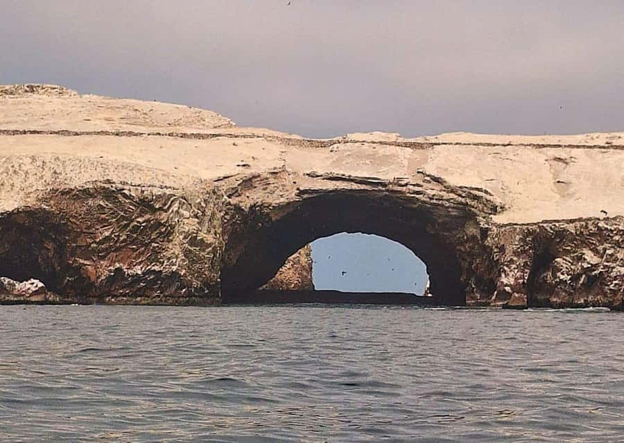 Paracas: Tours to Ballestas Islands by Speed Boat - Circling the arches, caves, and rocky islets