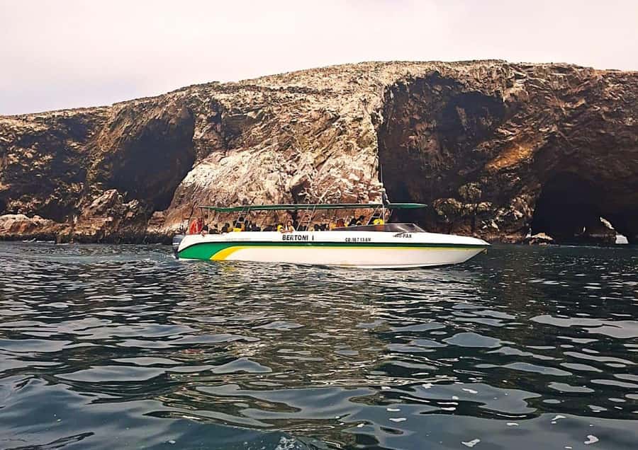 Paracas: Tours to Ballestas Islands by Speed Boat - Who should book this Paracas boat trip