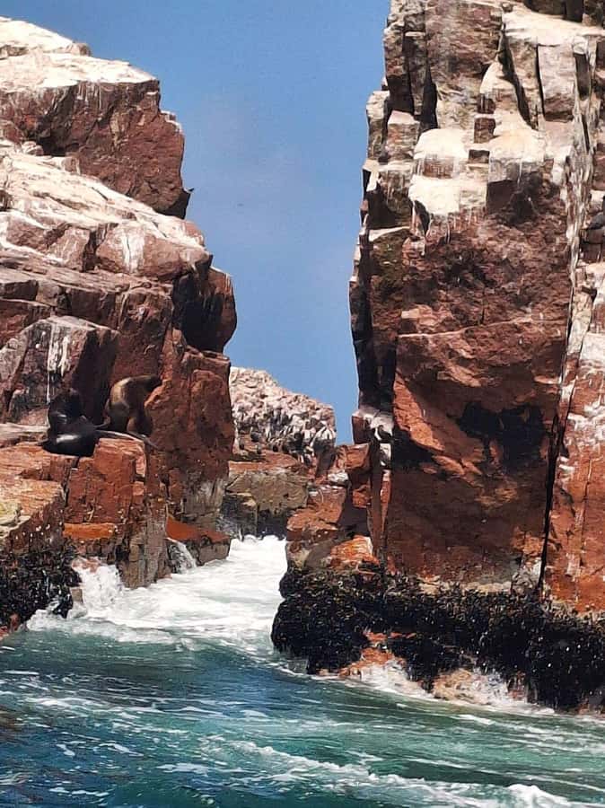 Paracas: Tours to Ballestas Islands by Speed Boat - Meeting at Hotel Overland in Paracas