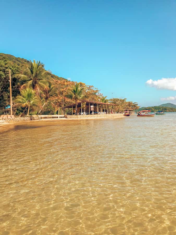 Paraty: Saco do Mamanguá Speedboat Tour - Who should book this tour?