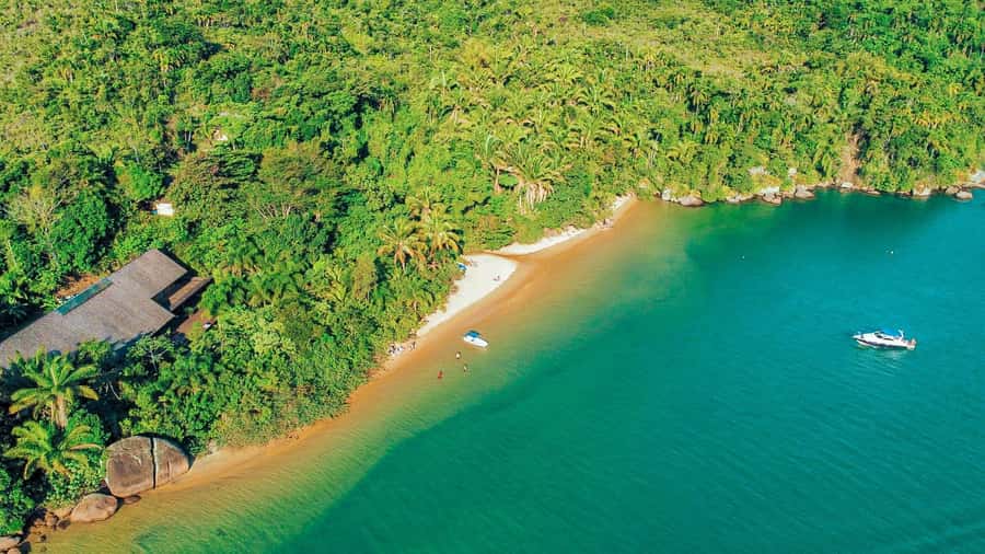 Paraty: Saco do Mamanguá Speedboat Tour - Engenho Beach, a quiet stretch of sand