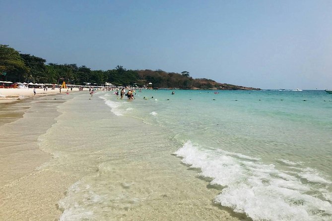 Pattaya : Coral Island Tour by Speedboat with Indian Lunch & Pick Up from Hotel - Pattaya Beach and the first speedboat transfer