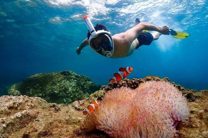 Pattaya Coral Island Tour with Indian Lunch and Hotel Transfer - Koh Larn beach time and the optional water activities