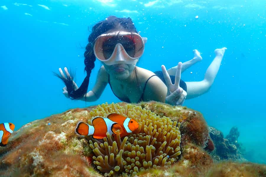 Pattaya: Private Speedboat Nemo Island with Snorkel & BBQ - Snorkeling for Nemo among the coral