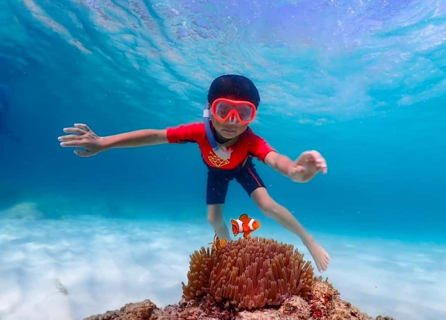 Pattaya: Private Speedboat Nemo Island with Snorkel & BBQ - How the value compares with other Pattaya boat trips
