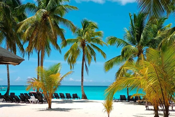 Perfect Day at Saona Island by Speedboat - Completely Private - Key points to know before booking