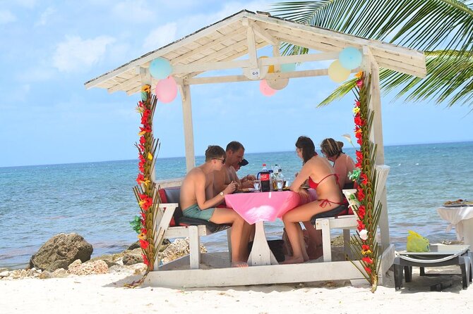 Perfect Day at Saona Island by Speedboat - Completely Private - The $450 price and who gets good value