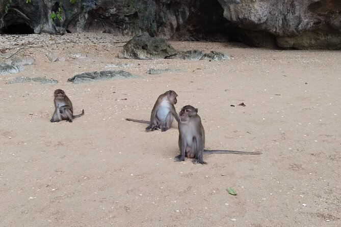 Phang Nga Bay Island Boat Tour By Speedboat By Phuket Sail Tours - What the small group and crew add