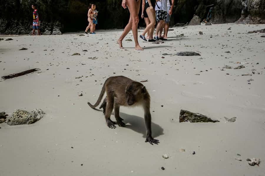 Phi Phi: 7 Islands Speed Boat Tour with Sunset and Plankton - Why the late-day finish matters
