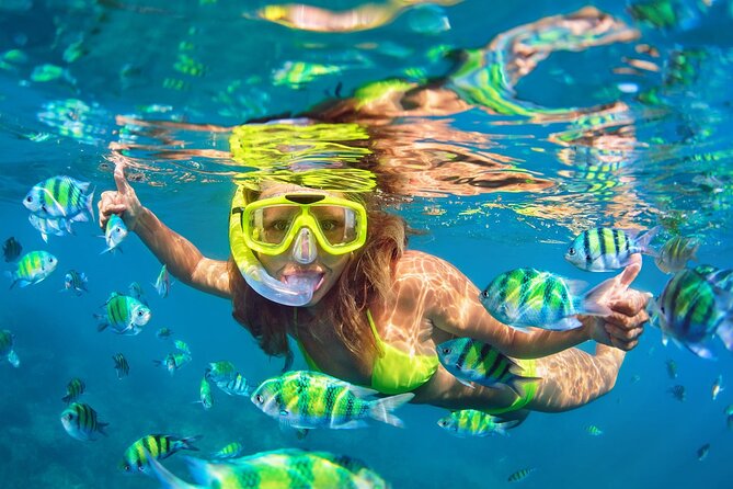 Phi Phi and Khai Islands Snorkeling Tour with Lunch by Speedboat - From Phuket hotel pickup to Royal Phuket Marina