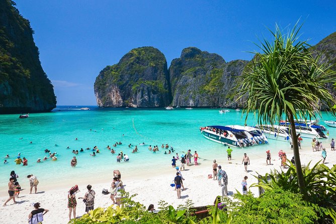 Phi Phi Island from Phuket by Speedboat (SHA Plus) - Maya Bay needs a careful reading