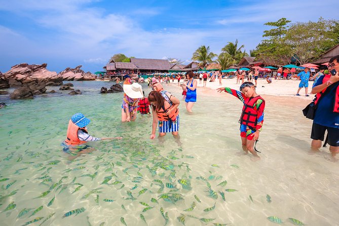 Phi Phi Island from Phuket by Speedboat (SHA Plus) - Monkey Beach and the Phi Phi cliffs