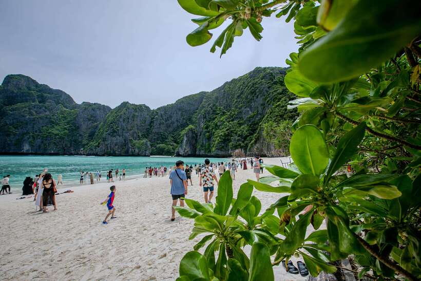 Phi Phi Island: Maya bay Sunset & Plankton by Speedboat - A five-hour Phi Phi route with a late finish