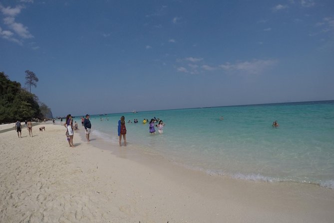 Phi Phi Islands Day Tour Bamboo and Maya Bay with Lunch By Speedboat - What the $110.12 price really covers