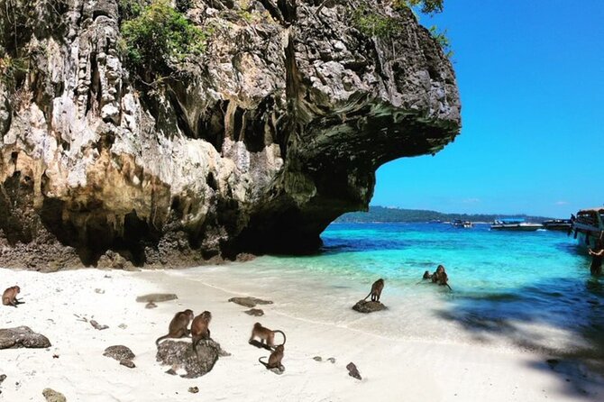 Phi Phi Islands Speedboat Tour Adventure from Krabi - What the $48.88 price really covers