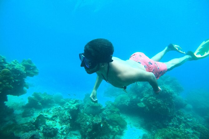 Phi Phi & Khai Islands Speedboat Tour from Phuket with Snorkeling - Key points at a glance