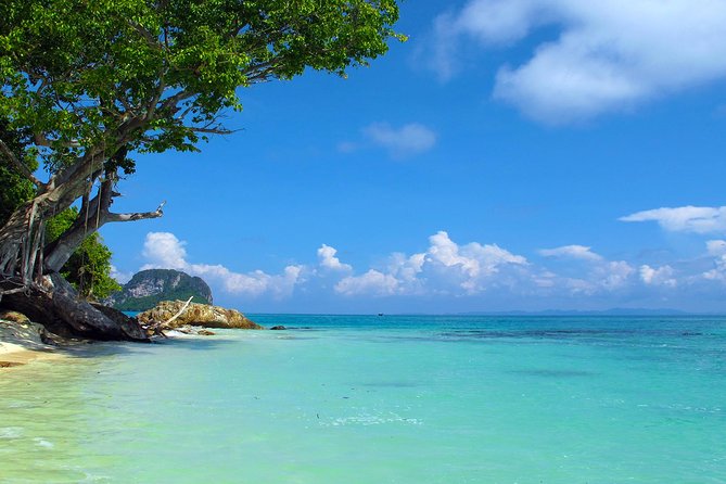 Phi Phi & Maya Bay Speedboat: All-Day Food & Choice of 3 Marinas - Phi Phi Leh, Pileh Bay, and Loh Samah Bay