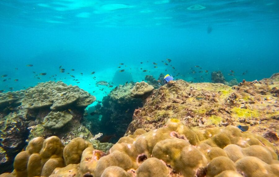 Phi Phi: Morning Speedboat Tour to Maya Bay with Snorkel - Why the early start matters at Maya Bay