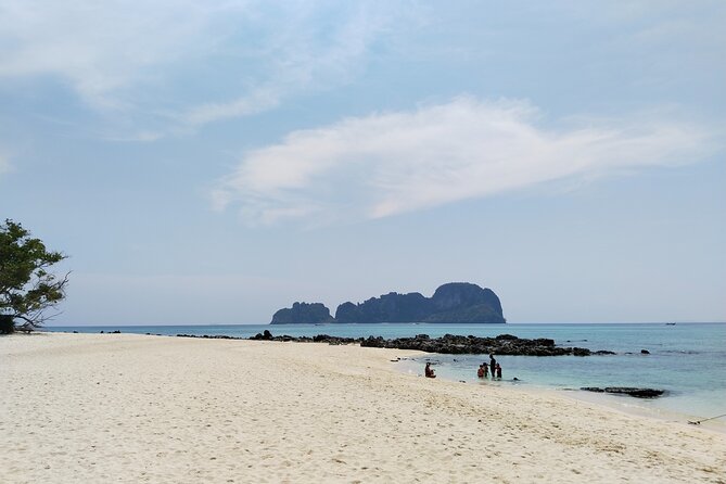 Phi Phi Snorkeling Early Day Trip, Speedboat - Phuket Sail Tours - Monkey Beach, with wildlife at a distance