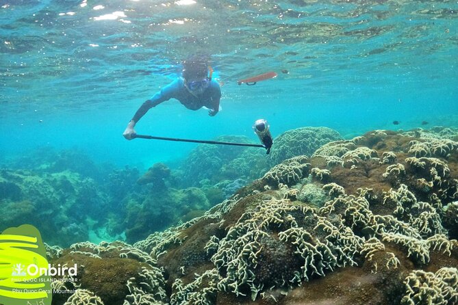 [Phu Quoc] Private Speedboat & Short-Snorkel: South Hidden Reefs - Equipment, Safety, and Snacks