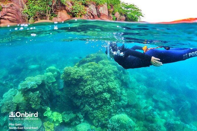 [Phu Quoc] Private Speedboat & Short-Snorkel: South Hidden Reefs - Should You Book the South Phu Quoc Speedboat?