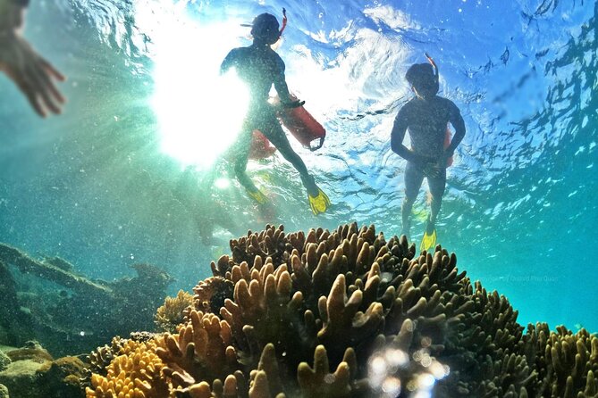 [Phu Quoc] Private Speedboat & Short-Snorkel: South Hidden Reefs - Half-Moon Reef or Northeast Coral Reef