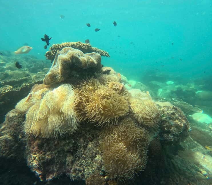 Phu Quoc: Snorkeling and Island Hopping by Speedboat & Lunch - May Rut Ngoai: beach time, photos, and a choice