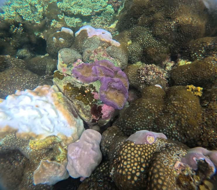 Phu Quoc: Snorkeling and Island Hopping by Speedboat & Lunch - Equipment, guides, and what can go wrong